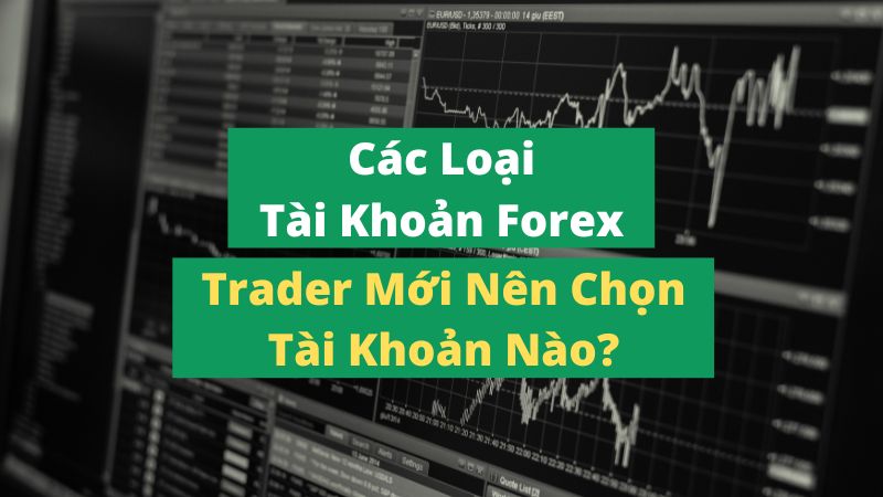 Các Loại Tài Khoản Forex. Trader Mới Nên Chọn Tài Khoản Nào?