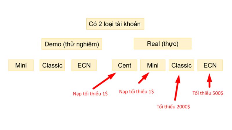 Các Loại Tài Khoản Forex. Trader Mới Nên Chọn Tài Khoản Nào?