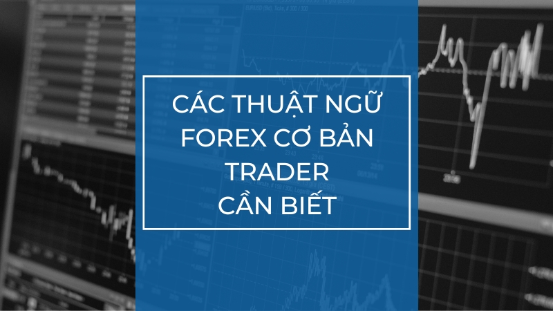 Các Thuật Ngữ Forex Cơ Bản Trader Cần Biết