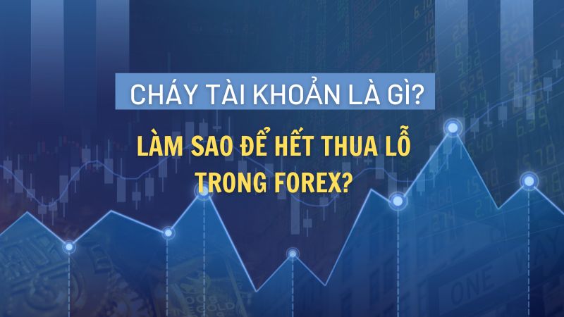 Cháy tài khoản là gì? Làm sao để hết thua lỗ trong forex?