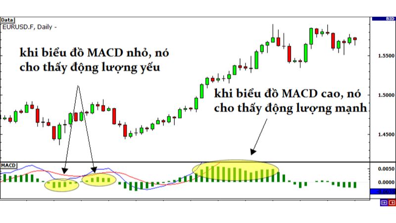 Chiến Lược Giao Dịch Theo Breakout Trong Thị Trường Forex