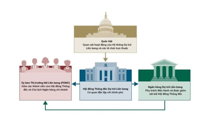 Cơ cấu tổ chức FED. Tại sao FED quyết định được lãi suất?