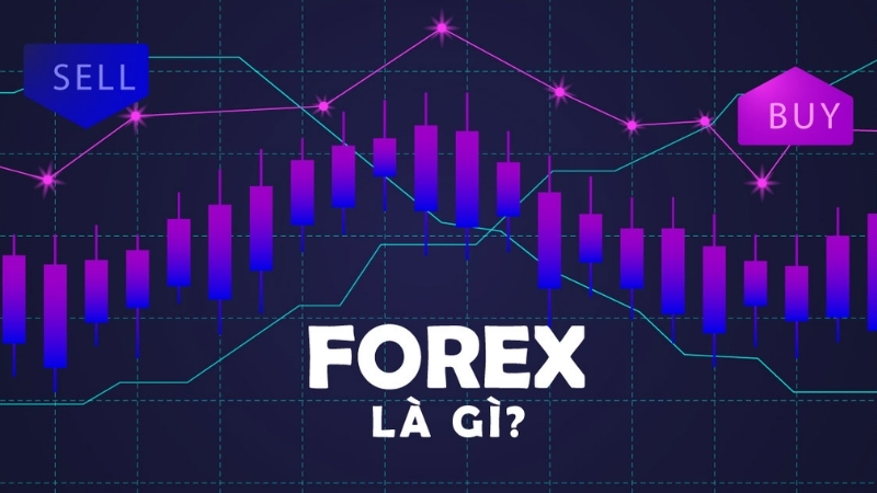 Forex Là Gì? Góc Nhìn Tổng Quan Về Thị Trường Forex