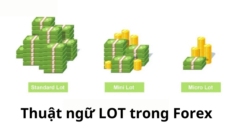 Thuật ngữ LOT trong Forex