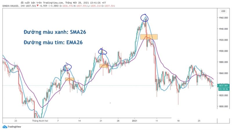 Hướng dẫn sử dụng chỉ báo MACD trong giao dịch Forex