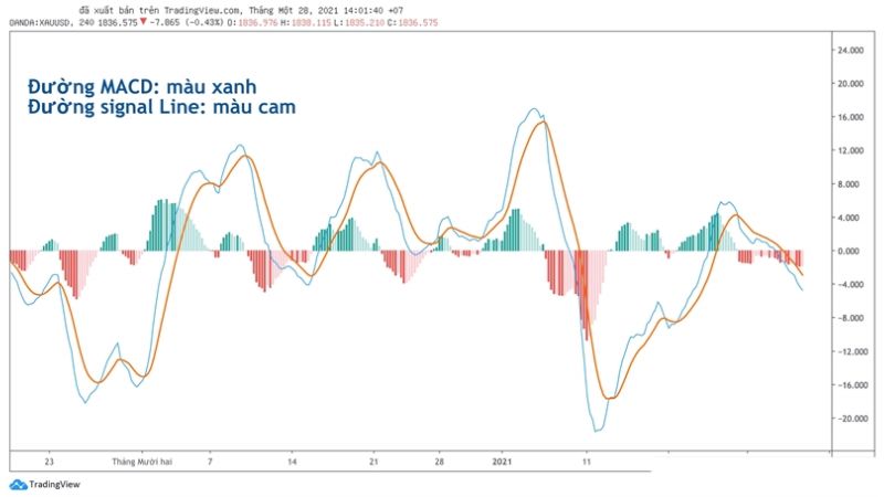 Hướng dẫn sử dụng chỉ báo MACD trong giao dịch Forex