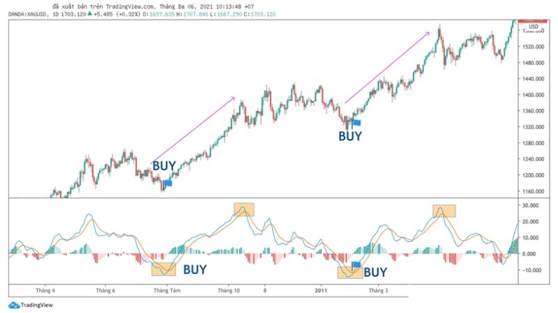 Hướng dẫn sử dụng chỉ báo MACD trong giao dịch Forex