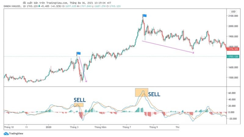 Hướng dẫn sử dụng chỉ báo MACD trong giao dịch Forex