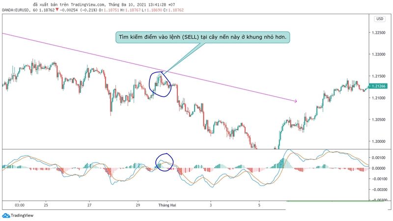 Hướng dẫn sử dụng chỉ báo MACD trong giao dịch Forex