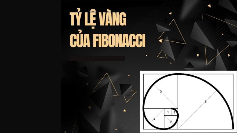 Dãy số Fibonacci là gì? Hướng dẫn cách sử dụng chi tiết nhất