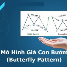 Mô hình giá Con bướm Butterfly Pattern trong thị trường Forex