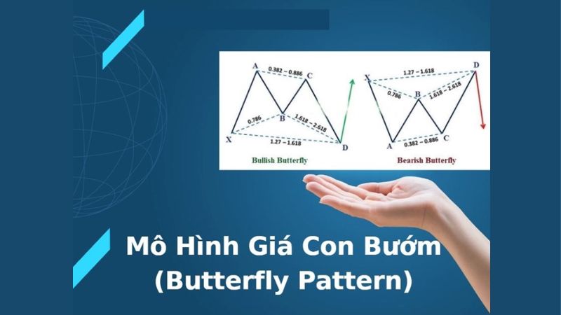 Mô hình giá Con bướm Butterfly Pattern trong thị trường Forex