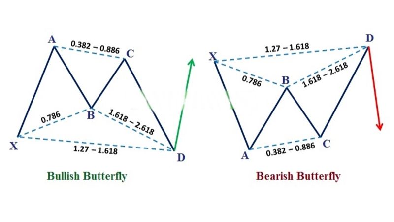 Mô hình giá Con bướm Butterfly Pattern trong thị trường Forex