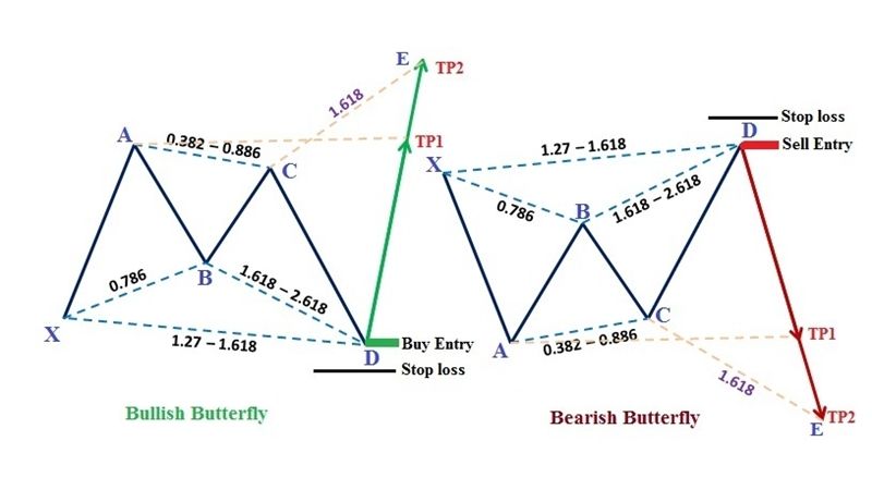 Mô hình giá Con bướm Butterfly Pattern trong thị trường Forex