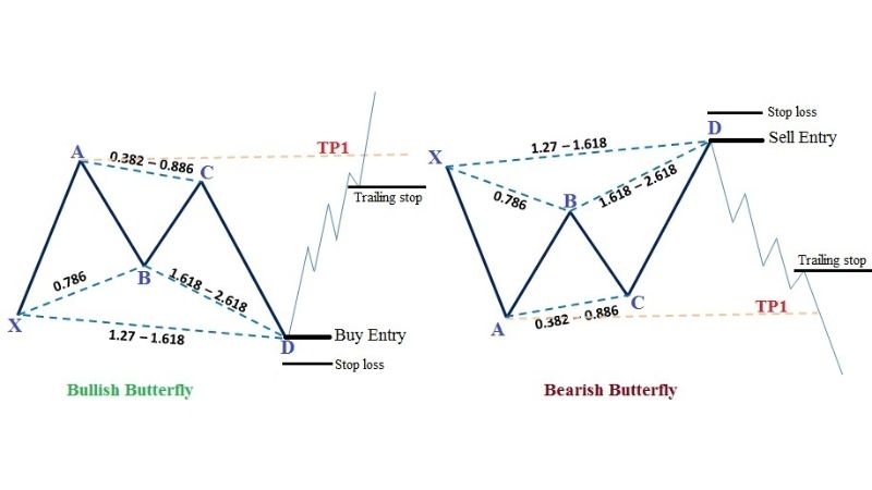 Mô hình giá Con bướm Butterfly Pattern trong thị trường Forex