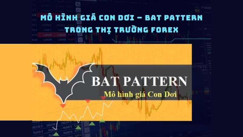 Mô hình giá Con dơi Bat pattern trong thị trường Forex