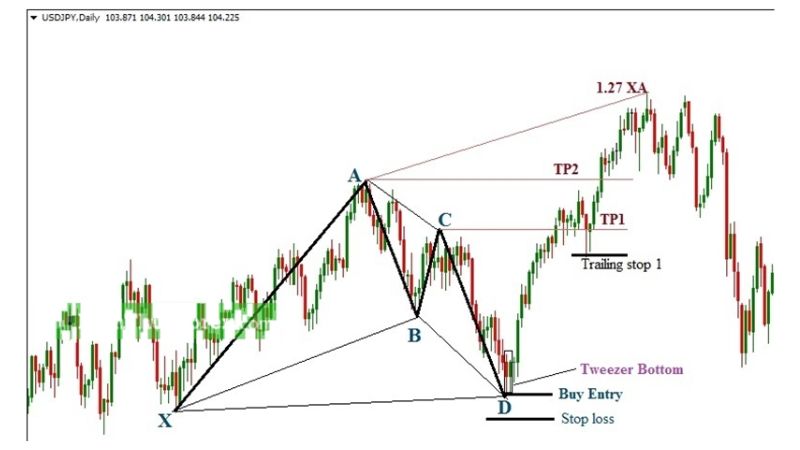 Mô hình giá Con dơi Bat pattern trong thị trường Forex