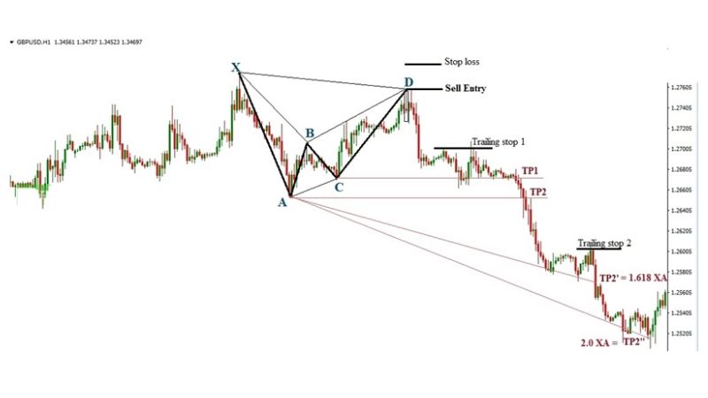 Mô hình giá Con dơi Bat pattern trong thị trường Forex